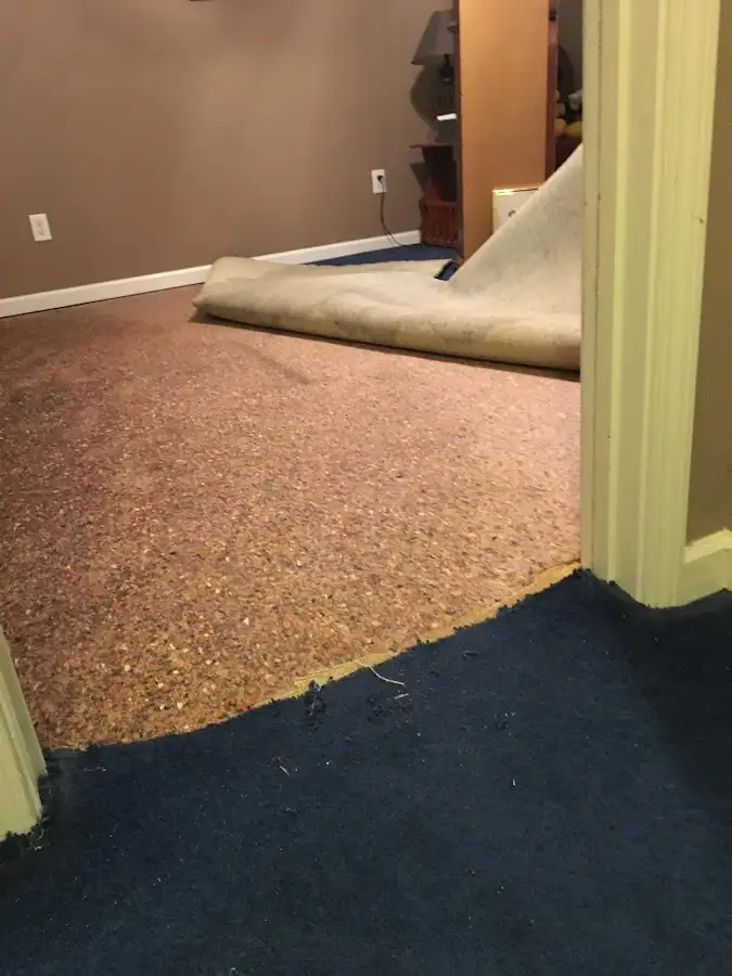 Carpet pad removal revealing water damage during Drying & Dehumidification in Hernando