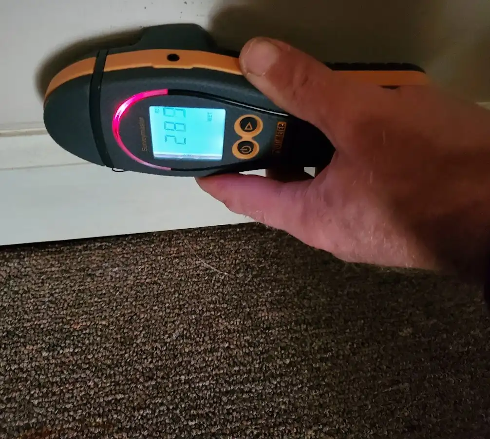 Moisture detection at baseboard during Sewage Cleanup & Sanitation in Hernando