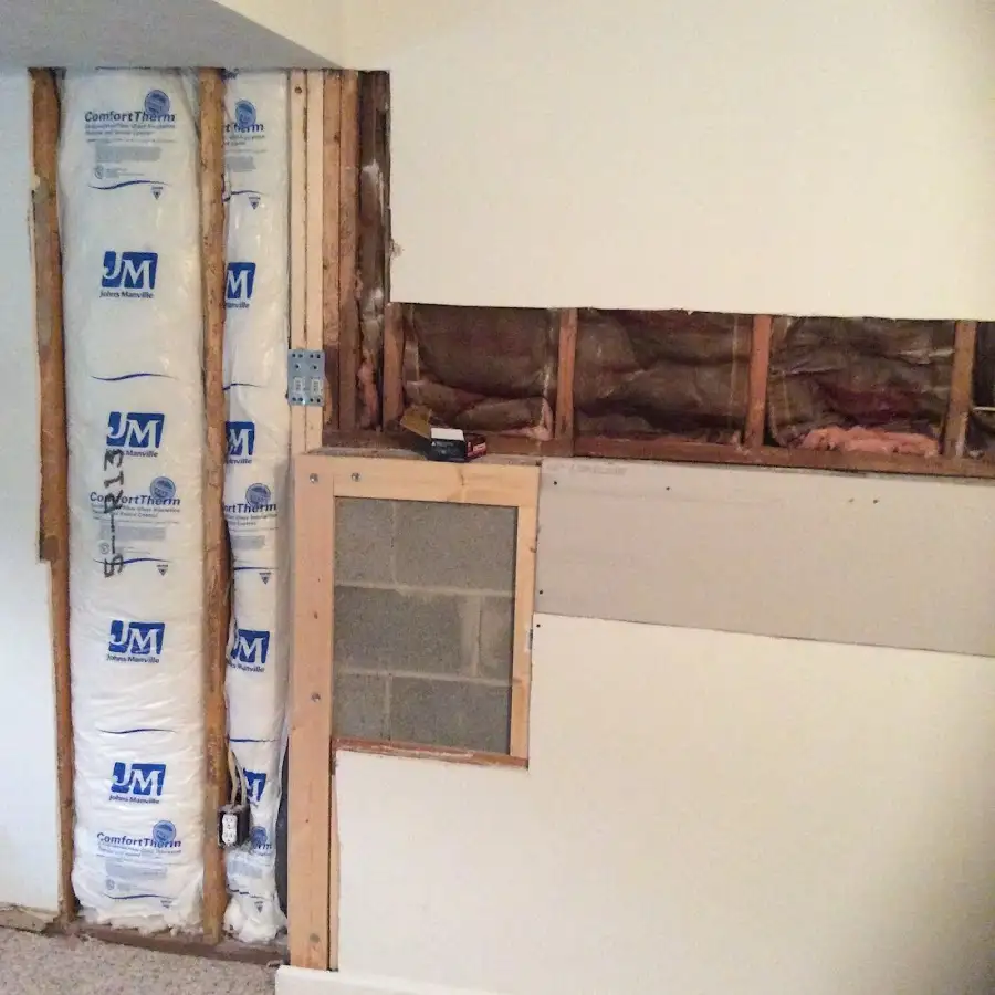 Wall insulation replacement during Odor Removal & Deodorization in Hernando